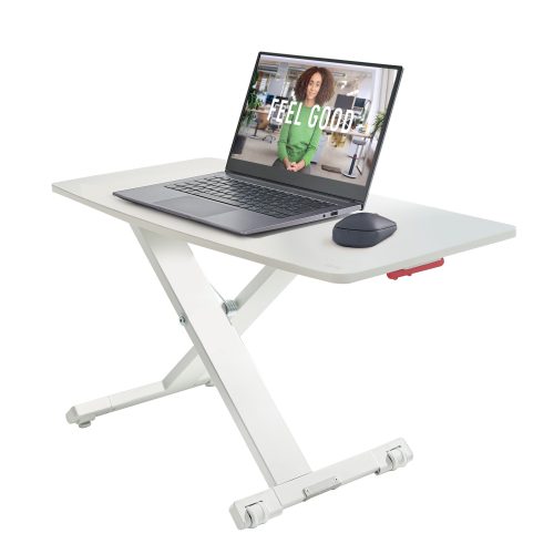 Convertidor de escritorio Leitz Ergo Cosy, gris