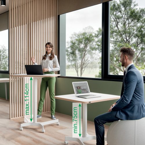 Mesa elevable neumática pequeña Leitz Ergo